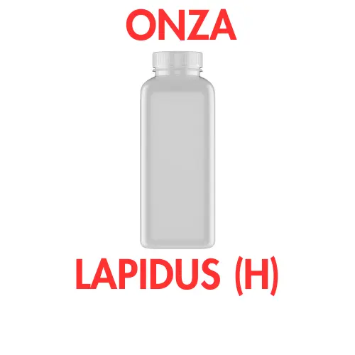 ONZA - LAPIDUS (H)