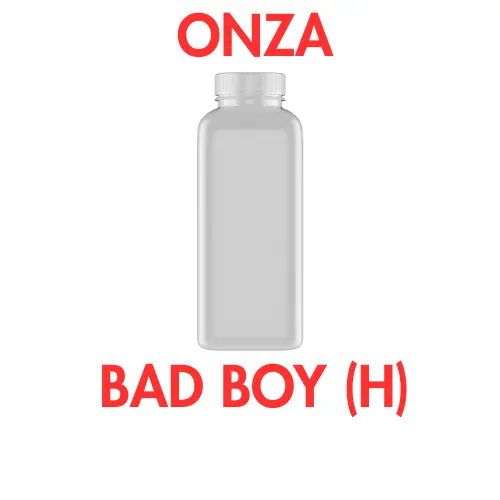 [604] ONZA - BAD BOY (H)